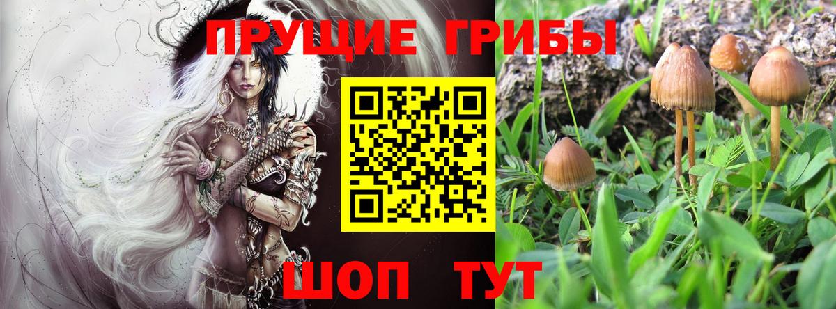 Псилоцибиновые грибы ЛСД  Вход с VPN  Ефремов 